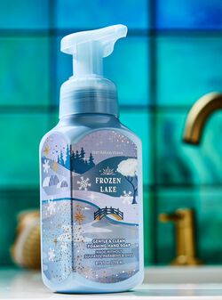 Frozen Lake Gentle & Clean Foaming Hand Soap image number null