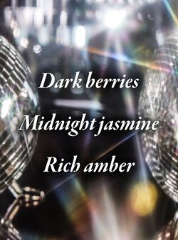 Into The Night PocketBac Hand Sanitizer image number null