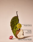 Cactus Blossom 3-Wick Candle image number null