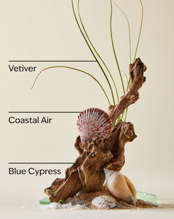 Ocean  Hand Sanitizer Spray image number null