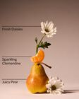 Gingham Fresh Body Wash image number null
