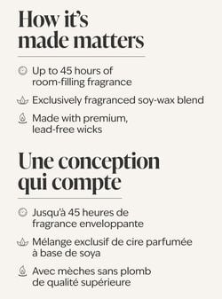 Platinum 3-Wick Candle