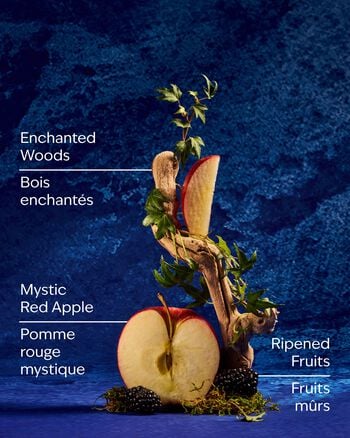 Snow White Gentle & Clean Foaming Hand Soap Gentle & Clean Foaming Hand Soap