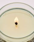Spring Apple Single Wick Candle image number null