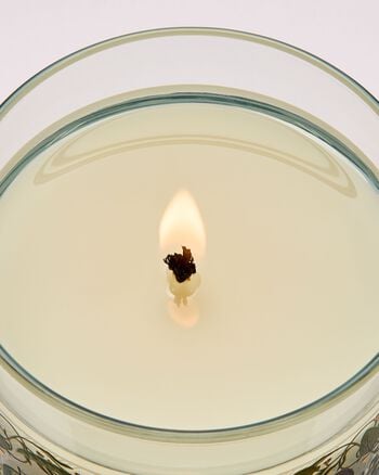 Spring Apple Single Wick Candle Single Wick Candle