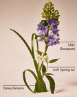Fresh Cut Lilacs Single Wick Candle image number null