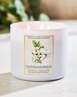 Clothesline Breeze 3-Wick Candle image number null