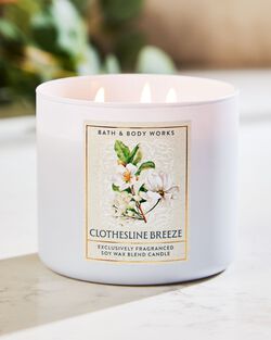Clothesline Breeze 3-Wick Candle image number null
