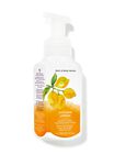 Kitchen Lemon Gentle & Clean Foaming Hand Soap image number null
