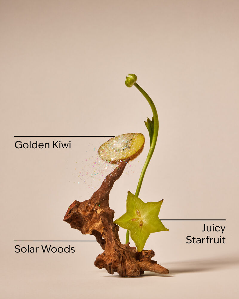 Sweet Kiwi & Starfruit Wallflowers Fragrance Refill Wallflowers Fragrance Refill