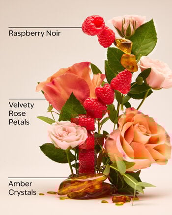 Into The Night Travel Size Body Wash Travel Size Body Wash