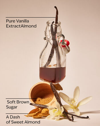 Classic Vanilla Wallflowers Fragrance Refill Wallflowers Fragrance Refill