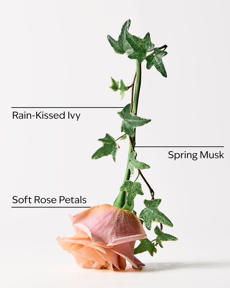 Rose Water & Ivy Gentle & Clean Foaming Hand Soap Gentle & Clean Foaming Hand Soap