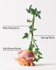 Rose Water & Ivy Gentle & Clean Foaming Hand Soap image number null