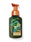 Waikiki Beach Coconut Gentle & Clean Foaming Hand Soap image number null