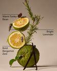 Lavender Bergamot Concentrated Room Spray image number null