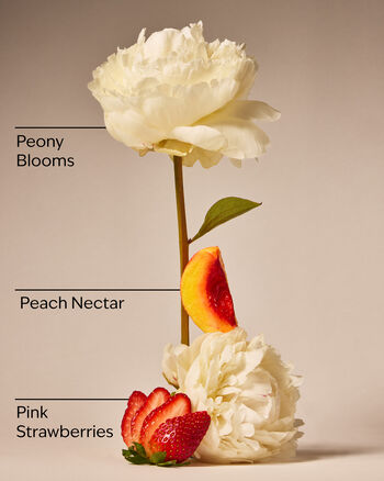 Gingham Gorgeous Hand Cream Hand Cream