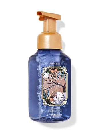 Coconut Mint Drop Gentle & Clean Foaming Hand Soap Gentle & Clean Foaming Hand Soap
