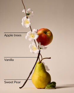 Spring Apple Wallflowers Fragrance Refill image number null