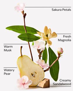Forever Cherry Blossom Body Butter image number null