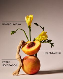 Peach Blossom & Nectar 3-Wick Candle image number null