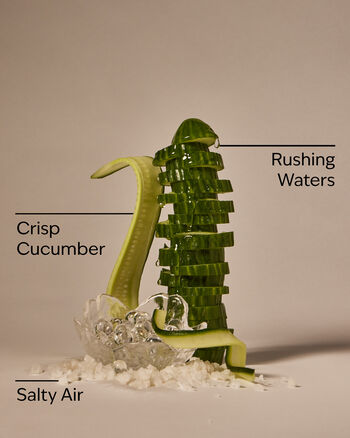 Rainforest Falls Cleansing Gel Hand Soap Cleansing Gel Hand Soap