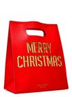 Merry Christmas Gift Bag image number null