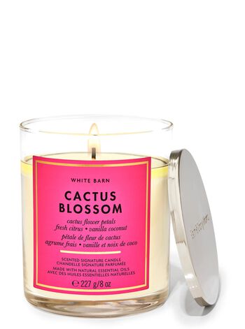 Cactus Blossom Signature Single Wick Candle Single Wick Candle