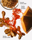 Pumpkin Carving Gentle & Clean Foaming Hand Soap image number null