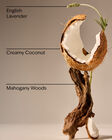 Mahogany Coconut Single Wick Candle image number null