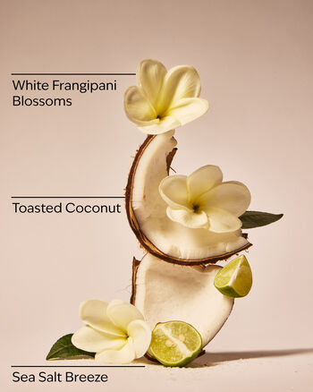 At The Beach Exfoliating Beach Body Scrub Exfoliating Beach Body Scrub