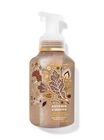 Autumn S'mores Gentle & Clean Foaming Hand Soap image number null