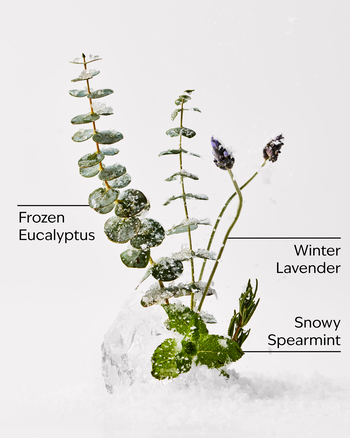 Eucalyptus Snowfall 3-Wick Candle 3-Wick Candle