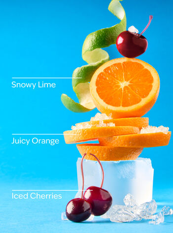 Winterberry Ice Hand Sanitizer Spray Hand Sanitizer Spray