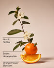 Backyard Honeysuckle Wallflowers Fragrance Refill image number null