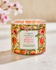 Peach Blossom & Nectar 3-Wick Candle image number null