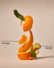 Orange Ginger Moisturizing Body Lotion image number null