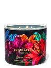 Tropidelic 3-Wick Candle image number null