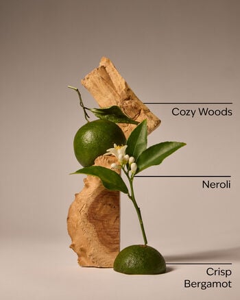 Book Loft Concentrated Room Spray Concentrated Room Spray