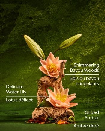 Tiana Ultimate Hydration Body Cream Ultimate Hydration Body Cream