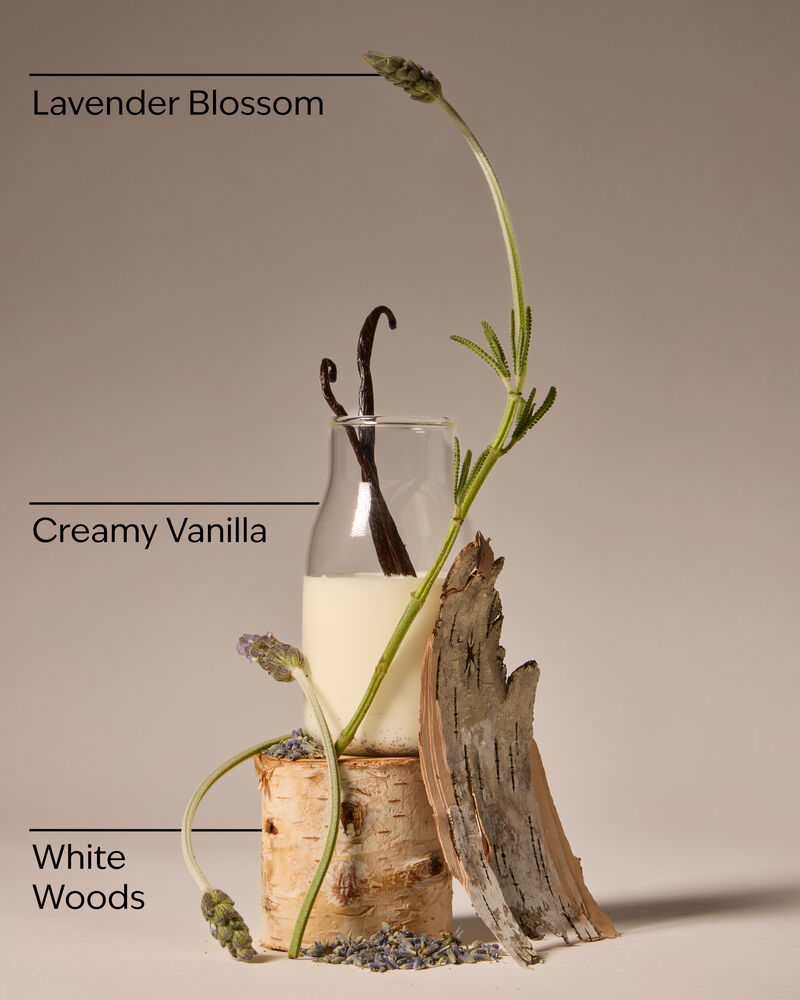 Lavendar Vanilla Tent Gift Gift Set