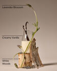 Lavendar Vanilla Tent Gift image number null