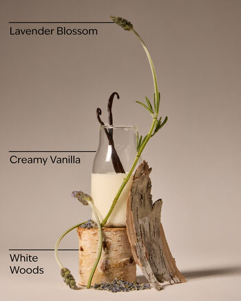 Lavendar Vanilla Tent Gift Gift Set
