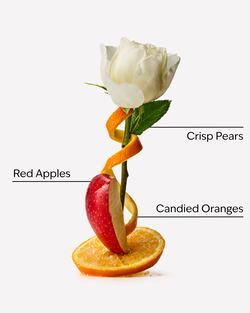 Winter Candy Apple Wallflowers Fragrance Refill image number null