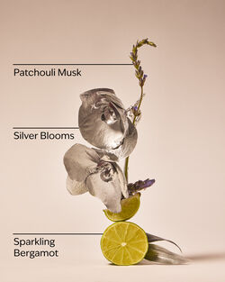 Platinum Daily Nourishing Body Lotion image number null
