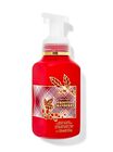 Frosted Cranberry Gentle & Clean Foaming Hand Soap image number null