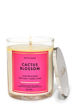 Cactus Blossom Signature Single Wick Candle