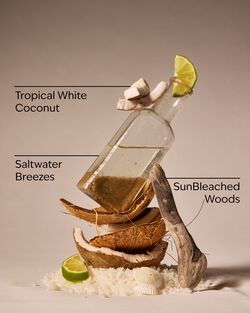 Waikiki Beach Coconut Concentrated Room Spray image number null
