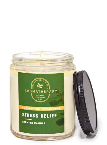 Eucalyptus Spearmint Single Wick Candle Single Wick Candle