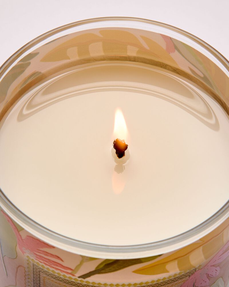 Coconut Pi&ntilde;a Colada Single Wick Candle Single Wick Candle
